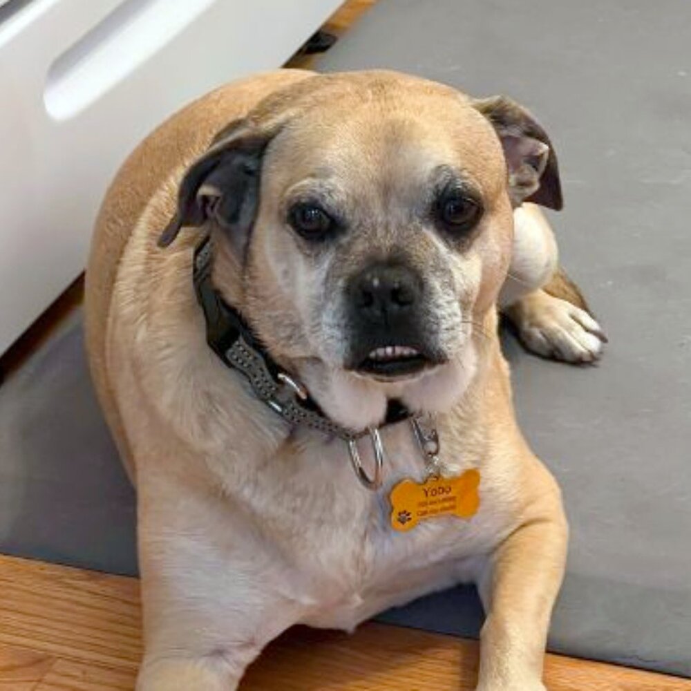 vtgtreasures4u vtgtreasures4u vtgtreasures4u vtgtreasures4u vtgtreasures4u - Picture 2 of 3